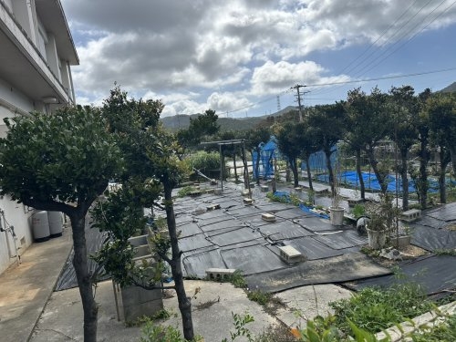 金武町屋嘉売り戸建
